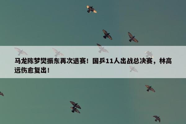 马龙陈梦樊振东再次退赛！国乒11人出战总决赛，林高远伤愈复出！