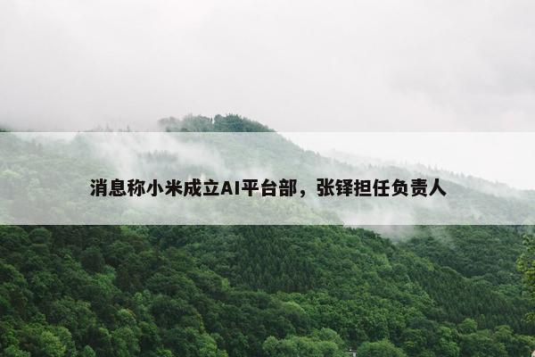 消息称小米成立AI平台部，张铎担任负责人