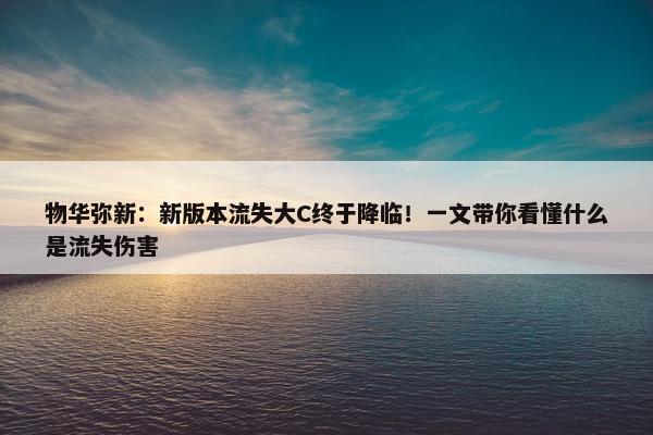 物华弥新：新版本流失大C终于降临！一文带你看懂什么是流失伤害