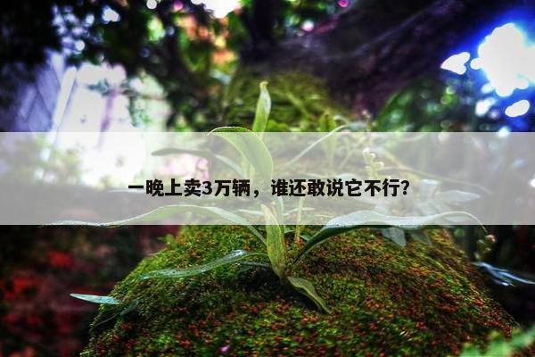 一晚上卖3万辆，谁还敢说它不行？