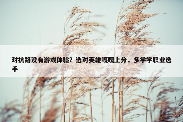 对抗路没有游戏体验？选对英雄嘎嘎上分，多学学职业选手