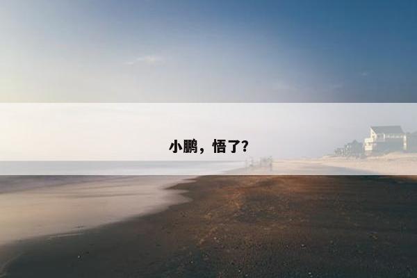 小鹏，悟了？