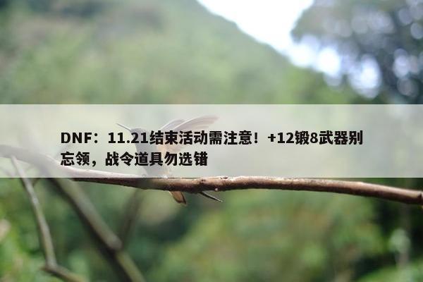 DNF：11.21结束活动需注意！+12锻8武器别忘领，战令道具勿选错