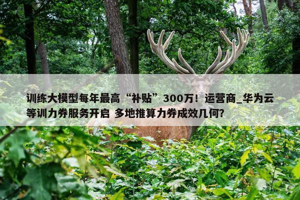 训练大模型每年最高“补贴”300万！运营商_华为云等训力券服务开启 多地推算力券成效几何？