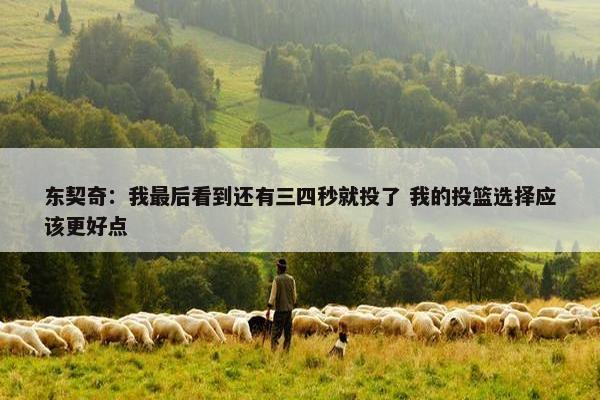 东契奇：我最后看到还有三四秒就投了 我的投篮选择应该更好点