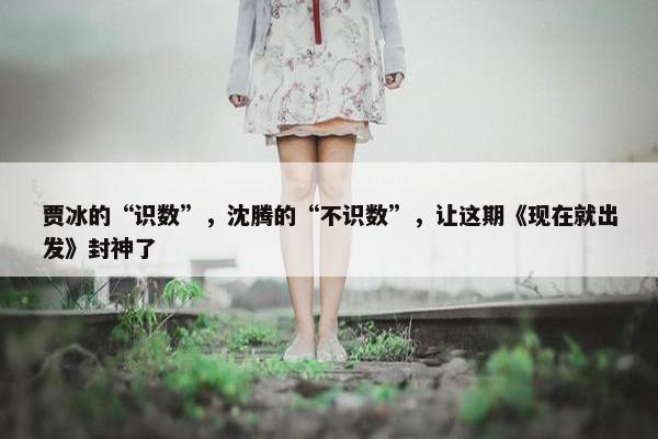 贾冰的“识数”，沈腾的“不识数”，让这期《现在就出发》封神了