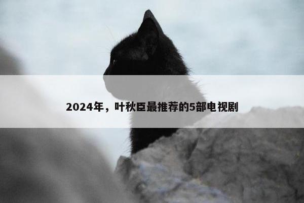 2024年，叶秋臣最推荐的5部电视剧