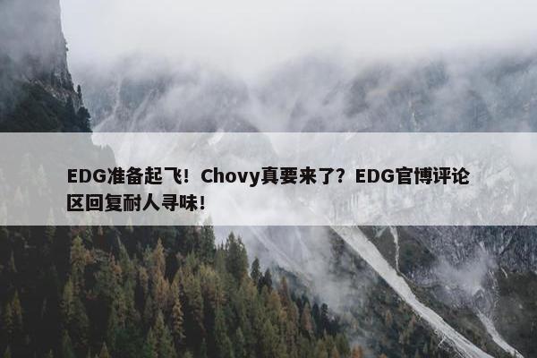 EDG准备起飞！Chovy真要来了？EDG官博评论区回复耐人寻味！