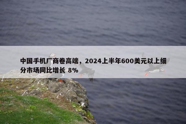 中国手机厂商卷高端，2024上半年600美元以上细分市场同比增长 8%