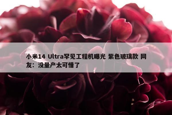 小米14 Ultra罕见工程机曝光 紫色玻璃款 网友：没量产太可惜了