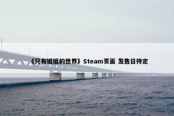 《只有姐姐的世界》Steam页面 发售日待定