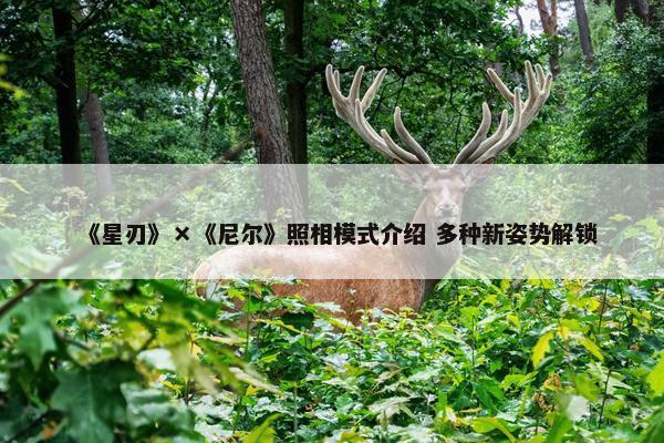 《星刃》×《尼尔》照相模式介绍 多种新姿势解锁