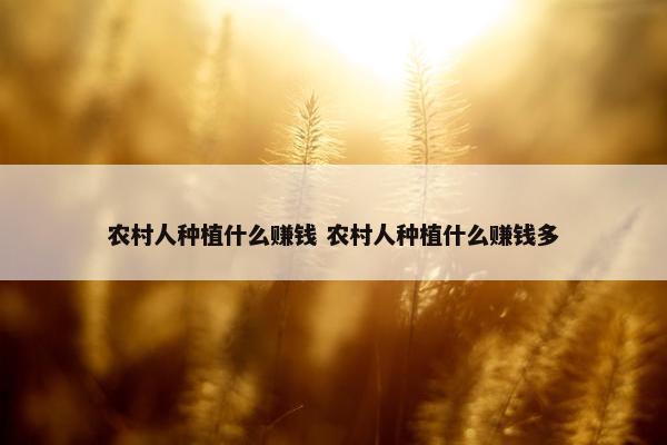 农村人种植什么赚钱 农村人种植什么赚钱多