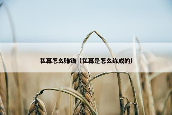 私募怎么赚钱（私募是怎么练成的）