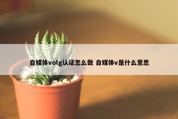 自媒体volg认证怎么做 自媒体v是什么意思