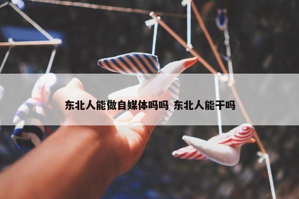 东北人能做自媒体吗吗 东北人能干吗