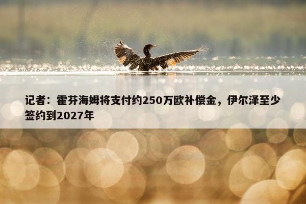 记者：霍芬海姆将支付约250万欧补偿金，伊尔泽至少签约到2027年