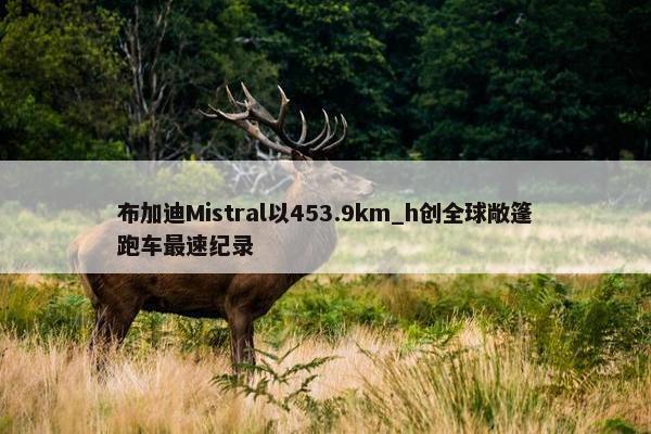 布加迪Mistral以453.9km_h创全球敞篷跑车最速纪录