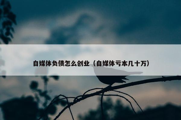 自媒体负债怎么创业（自媒体亏本几十万）