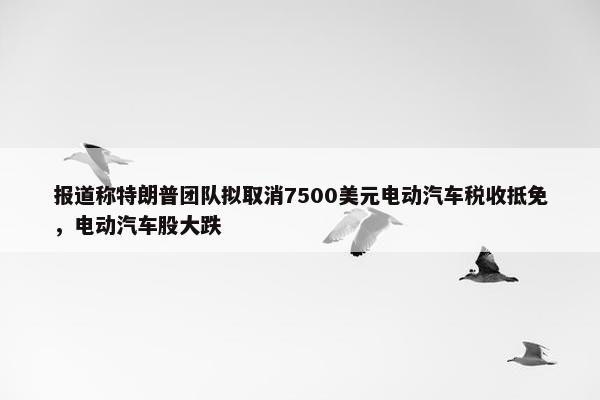 报道称特朗普团队拟取消7500美元电动汽车税收抵免，电动汽车股大跌