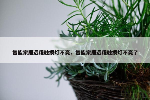 智能家居远程触摸灯不亮，智能家居远程触摸灯不亮了