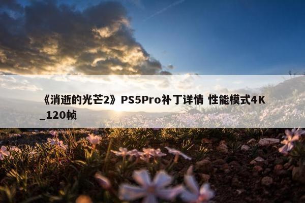 《消逝的光芒2》PS5Pro补丁详情 性能模式4K_120帧