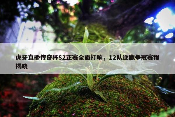 虎牙直播传奇杯S2正赛全面打响，12队逐鹿争冠赛程揭晓