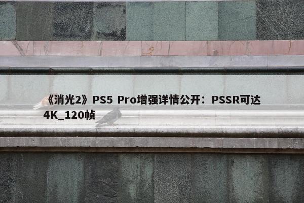 《消光2》PS5 Pro增强详情公开：PSSR可达4K_120帧