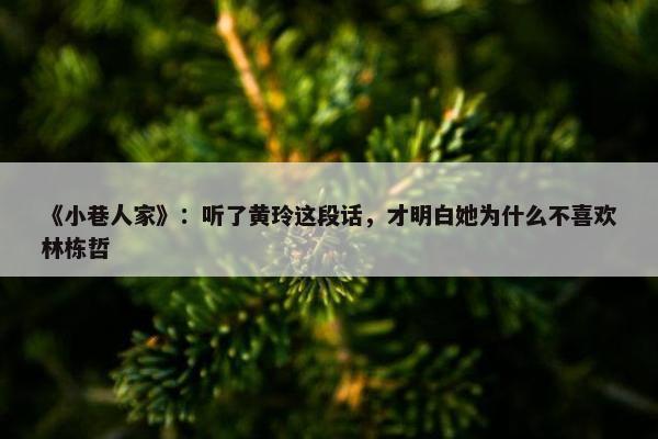 《小巷人家》：听了黄玲这段话，才明白她为什么不喜欢林栋哲