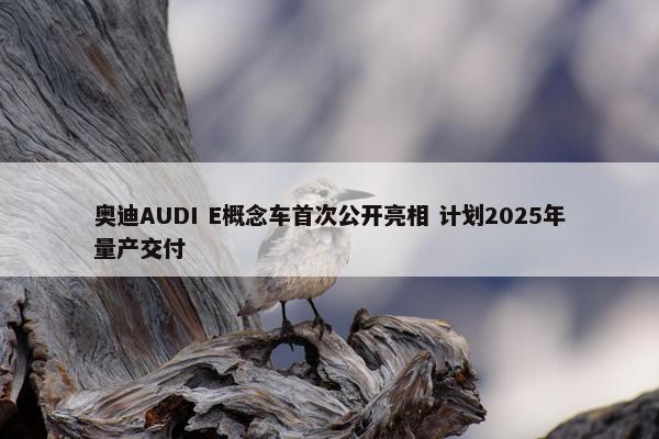 奥迪AUDI E概念车首次公开亮相 计划2025年量产交付