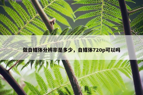 做自媒体分辨率是多少，自媒体720p可以吗