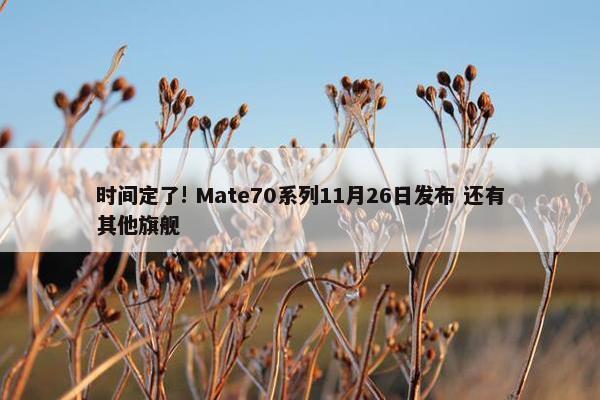 时间定了! Mate70系列11月26日发布 还有其他旗舰