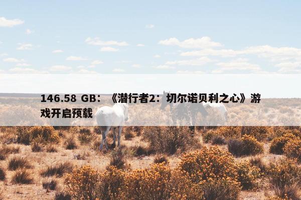 146.58 GB：《潜行者2：切尔诺贝利之心》游戏开启预载