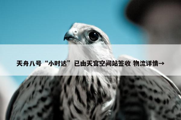 天舟八号“小时达”已由天宫空间站签收 物流详情→