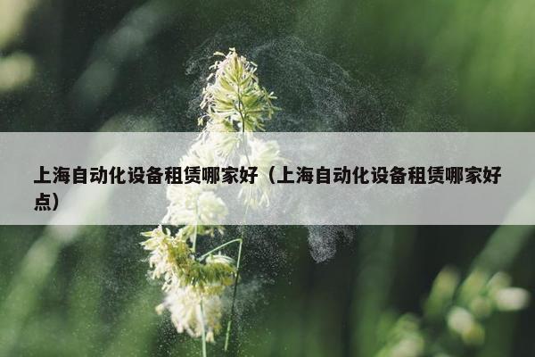 上海自动化设备租赁哪家好（上海自动化设备租赁哪家好点）