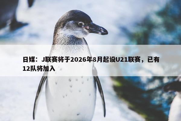 日媒：J联赛将于2026年8月起设U21联赛，已有12队将加入