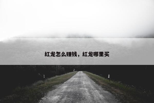 红龙怎么赚钱，红龙哪里买