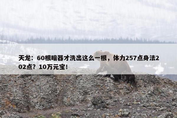 天龙：60根暗器才洗出这么一根，体力257点身法202点？10万元宝！