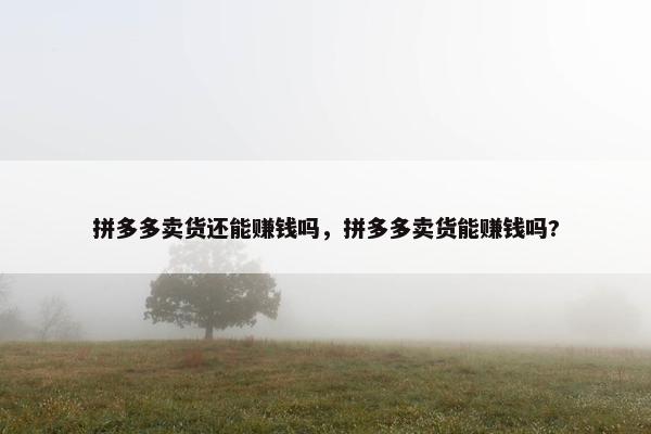 拼多多卖货还能赚钱吗，拼多多卖货能赚钱吗?