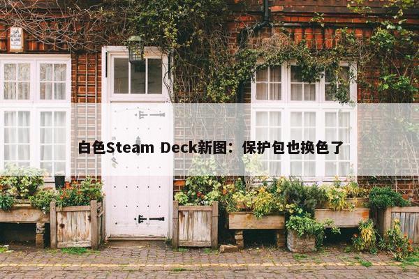 白色Steam Deck新图：保护包也换色了