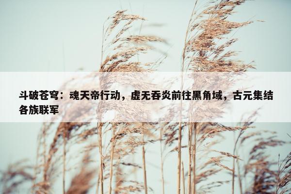 斗破苍穹：魂天帝行动，虚无吞炎前往黑角域，古元集结各族联军