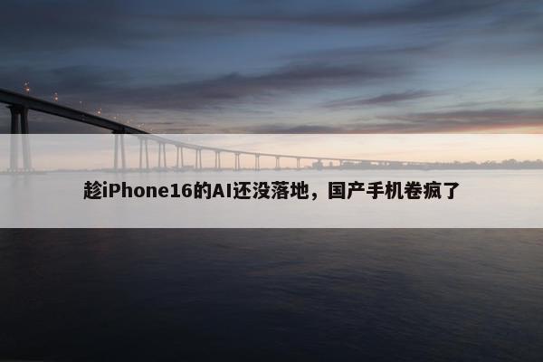 趁iPhone16的AI还没落地，国产手机卷疯了