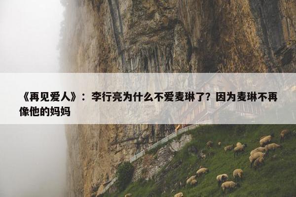 《再见爱人》：李行亮为什么不爱麦琳了？因为麦琳不再像他的妈妈