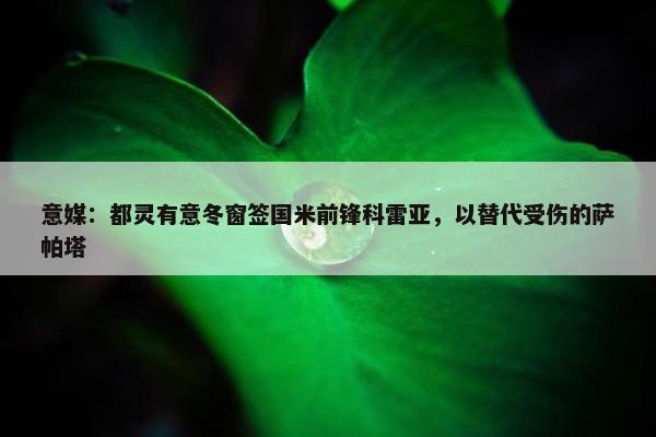 意媒：都灵有意冬窗签国米前锋科雷亚，以替代受伤的萨帕塔