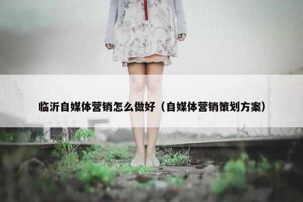 临沂自媒体营销怎么做好（自媒体营销策划方案）