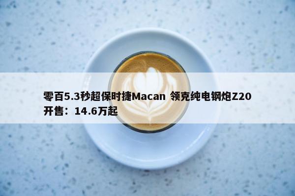 零百5.3秒超保时捷Macan 领克纯电钢炮Z20开售：14.6万起