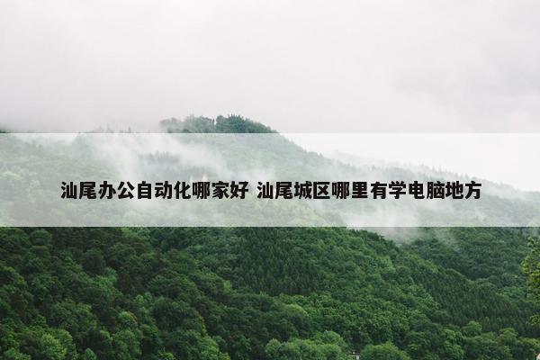 汕尾办公自动化哪家好 汕尾城区哪里有学电脑地方