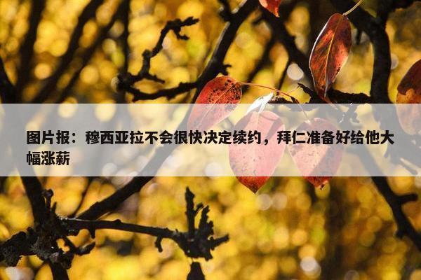 图片报：穆西亚拉不会很快决定续约，拜仁准备好给他大幅涨薪