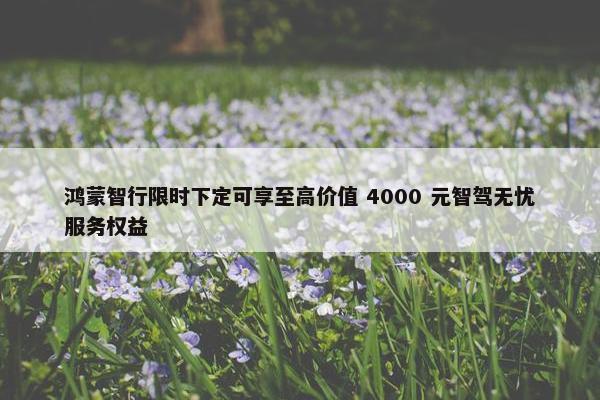 鸿蒙智行限时下定可享至高价值 4000 元智驾无忧服务权益