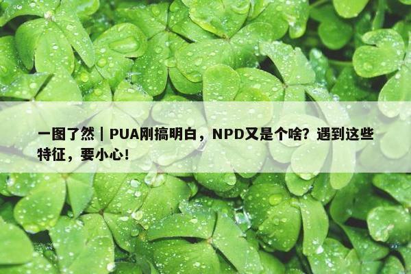 一图了然｜PUA刚搞明白，NPD又是个啥？遇到这些特征，要小心！